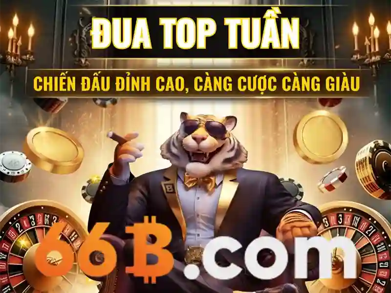 Ảnh hưởng và ứng dụng của 66b