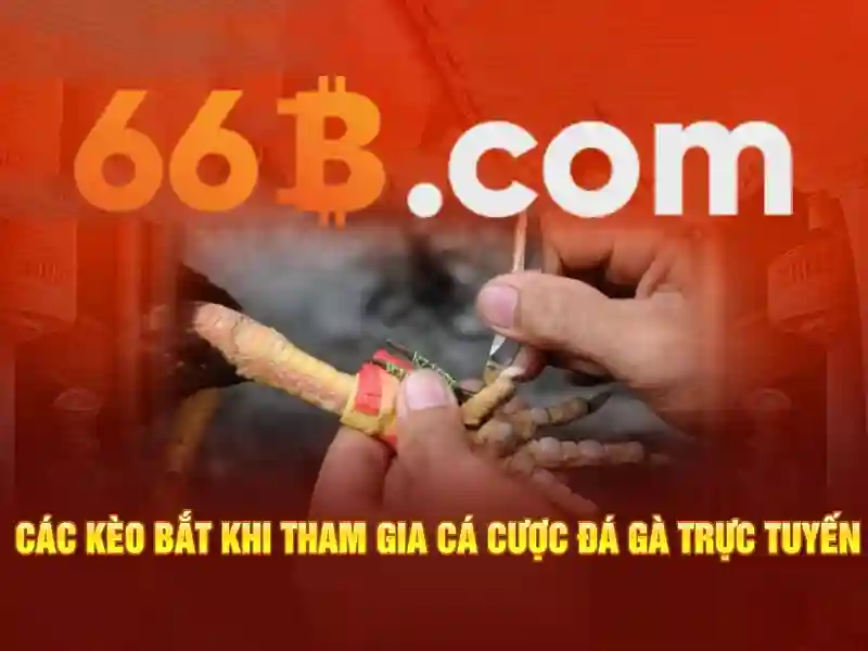 66b hoạt động bao lâu? Câu trả lời chi tiết cho người mới