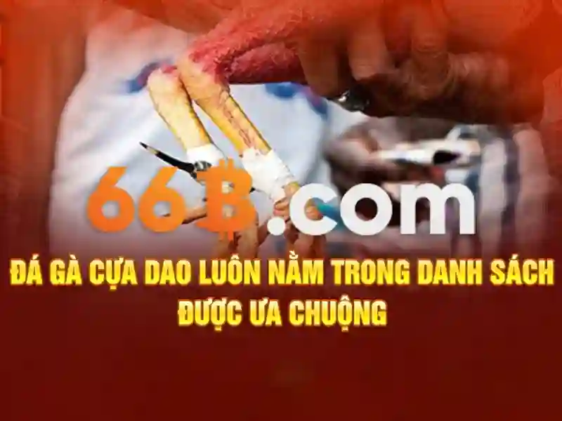 66b nguyễn sỹ sách trường con – Tổng quan chủ đề và giá trị cốt lõi
