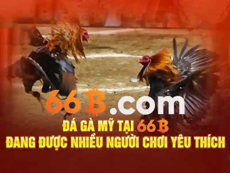 66b và các ứng dụng