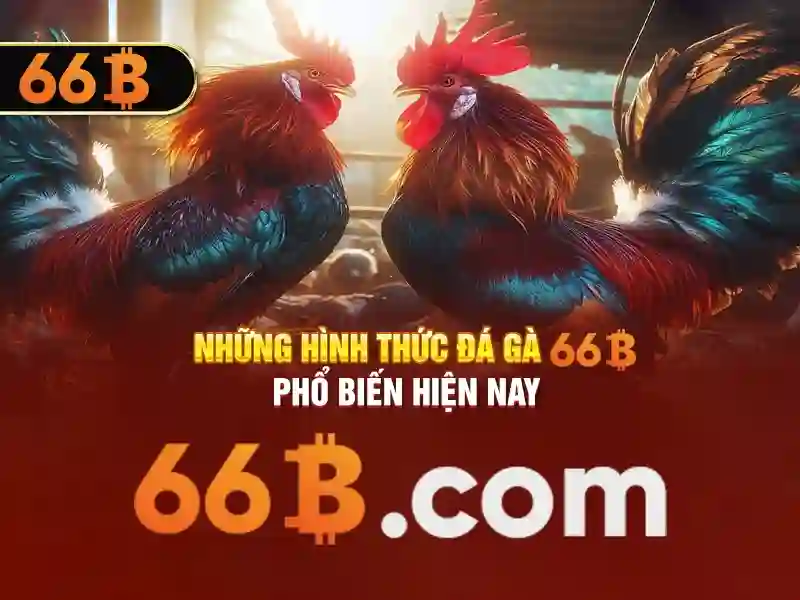 66b phan đăng lưu phường 5 phú nhuận tp.hcm – Khám phá bản sắc địa phương