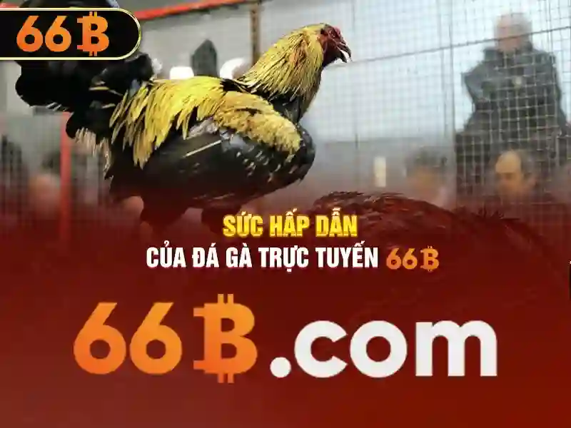 Giao diện trang chủ nhà cái 66b với tính năng rút tiền nổi bật
