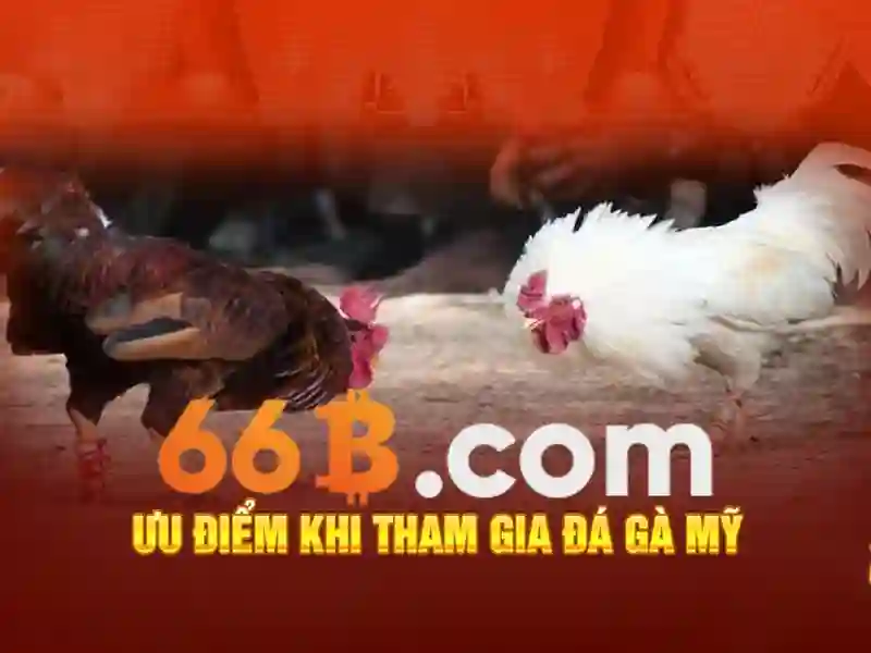 66b nguyễn sỹ sách p12 tân bình – Tóm tắt và lời mời trải nghiệm