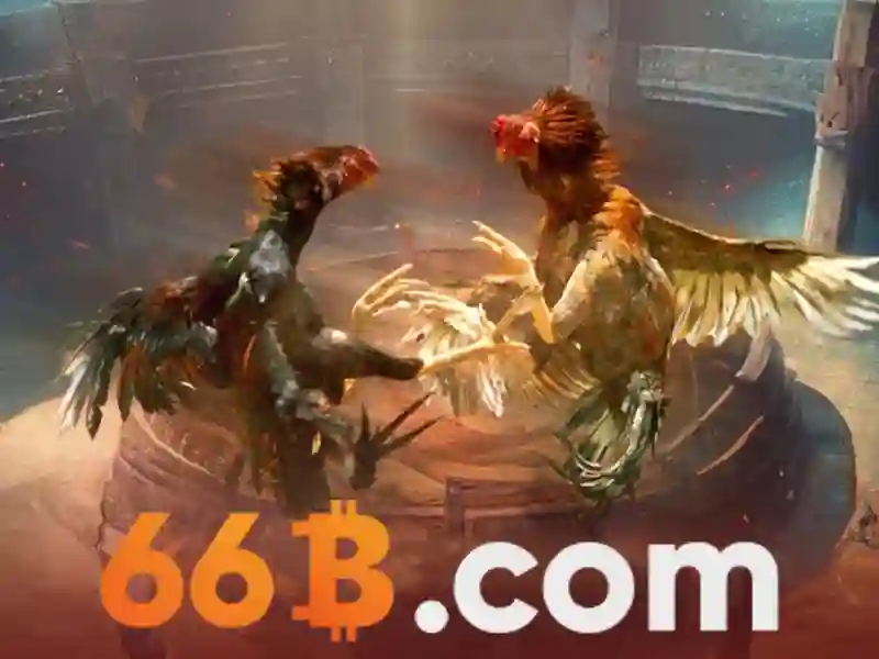 <!--IMG_PLACEHOLDER al t=66b hoàn tiền – Nguồn gốc và sứ mệnh-->