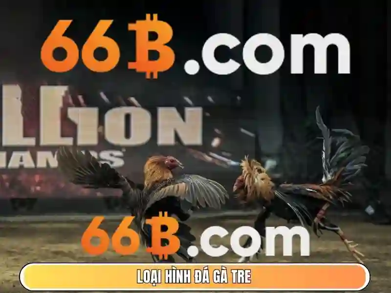 Trải nghiệm người dùng và phản hồi từ cộng đồng