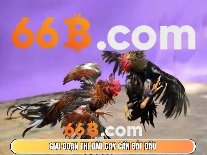 66b - một mô hình ngôn ngữ lớn 66 tỷ tham số