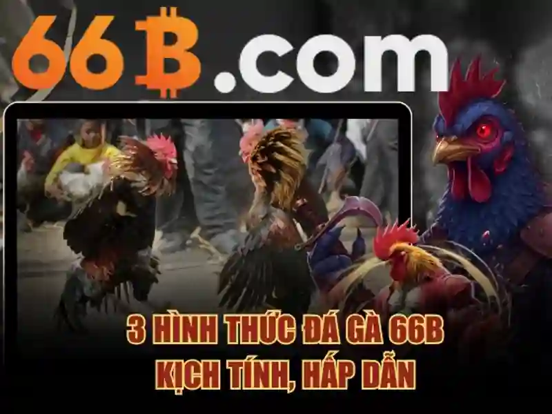 66b login – Dòng chảy công nghệ và trải nghiệm tối ưu