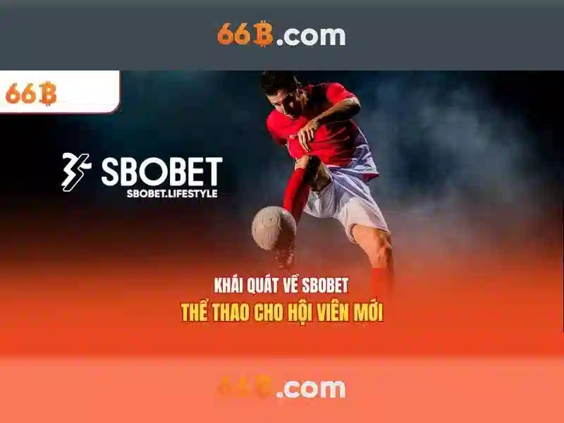 66b: một khái niệm mở