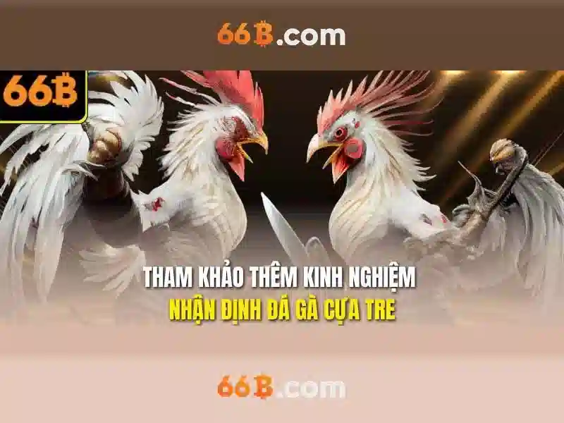 chơi 66b có bị bắt không - đánh giá an toàn và thực tế