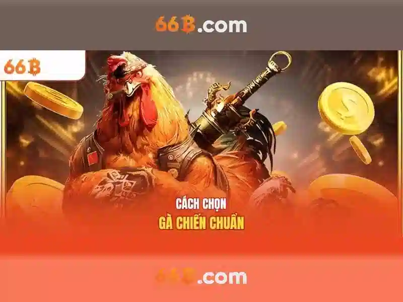 66b: một cái nhìn tổng quan về công nghệ và tiềm năng