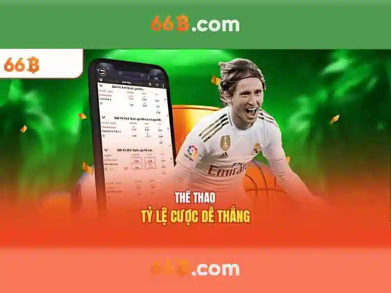 Sân 66b triều khúc – Nền tảng sáng tạo và trải nghiệm