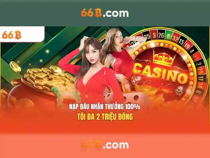 66b là gì