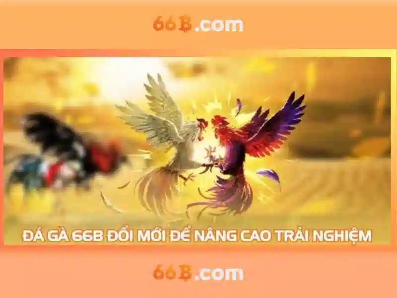 66b: Khái niệm, kiến trúc và triển khai