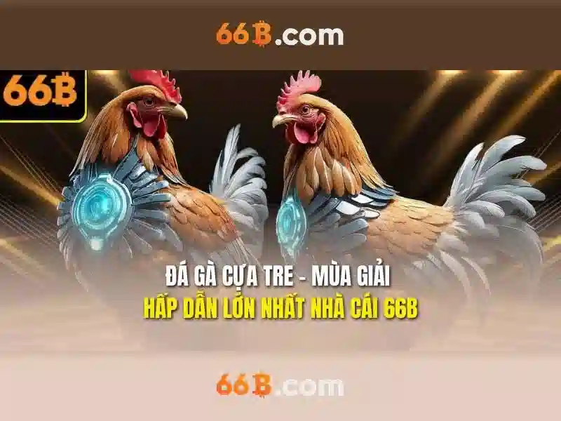 Khái niệm và kích thước