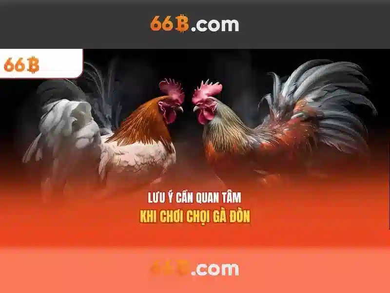 Giới thiệu về mô hình 66B