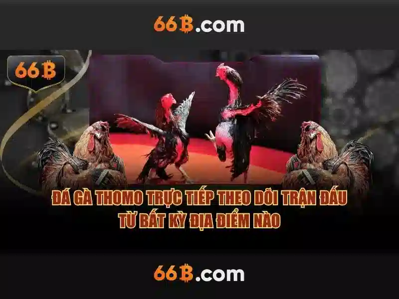 66b quán sứ – khám phá thương hiệu và trải nghiệm đích thực