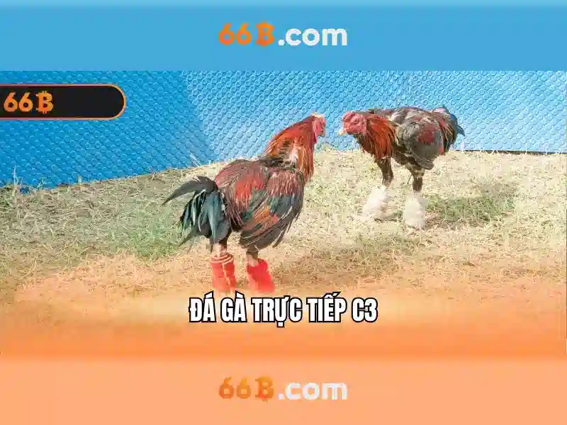 66B: Mô hình ngôn ngữ quy mô lớn 66B và những điều cần biết