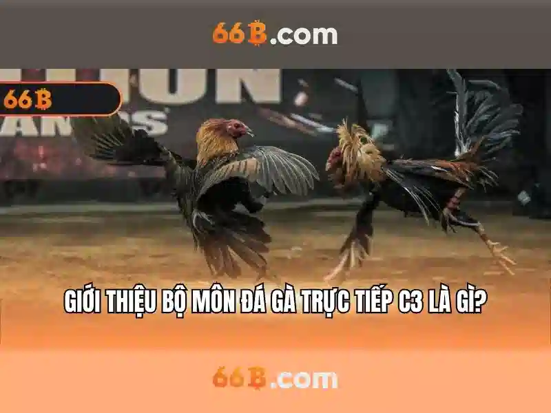 66b là một ẩn số và ký hiệu đa dụng