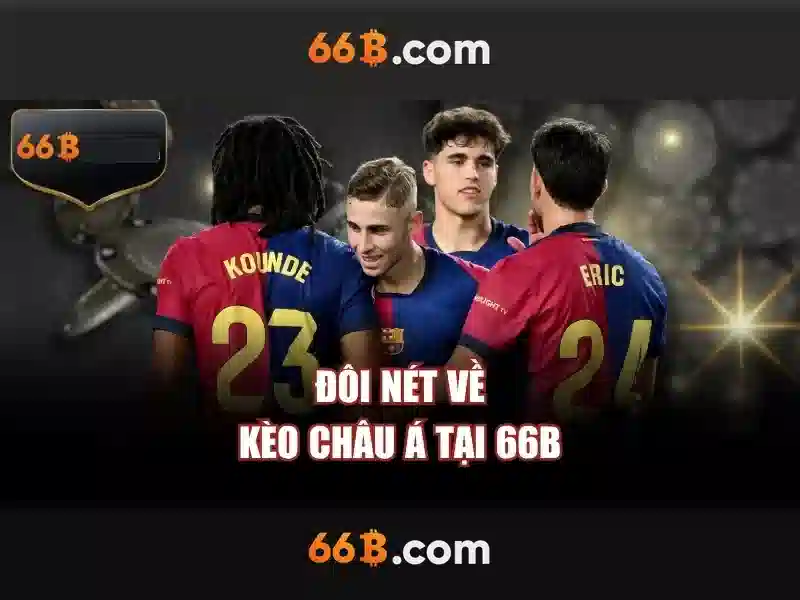 tous les jours 66b cmt8: Hành trình thương hiệu và trải nghiệm