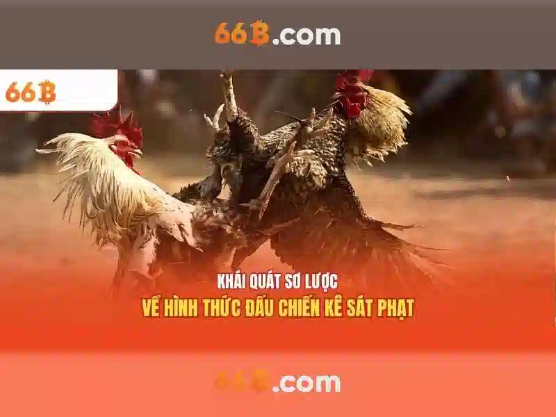 Thách thức và tương lai