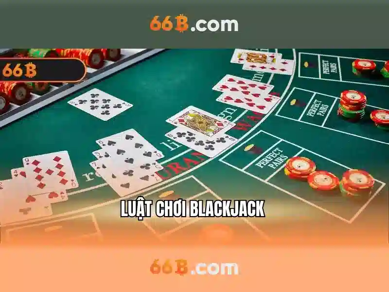 <!--IMG_PLACEHOLDER alt>Trải nghiệm người dùng và phản hồi của cộng đồng-->