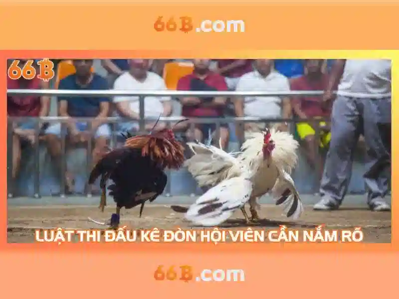 Kiến trúc và cách hoạt động