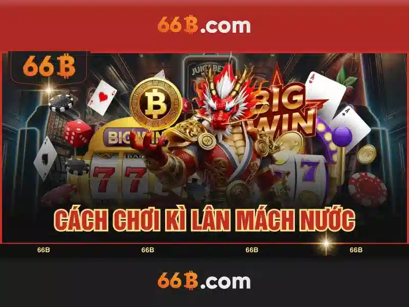 66B là gì?