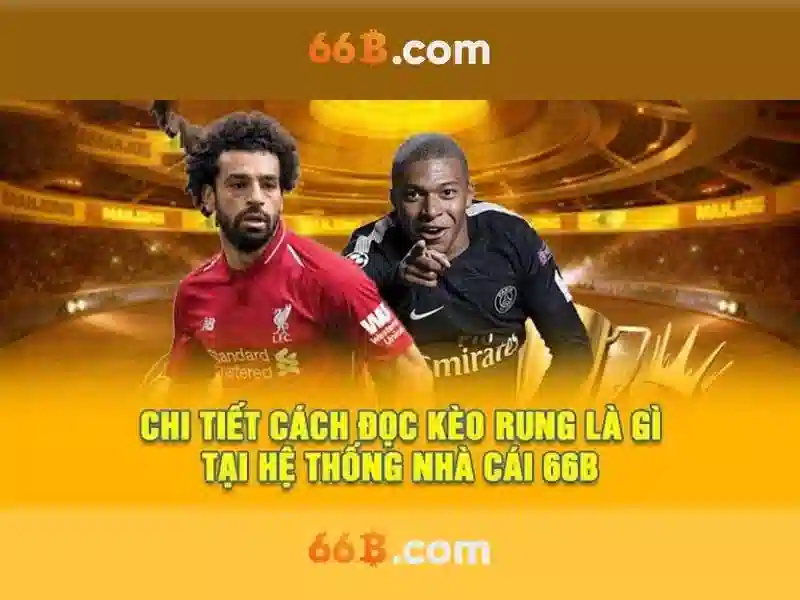 Cấu trúc và quy mô