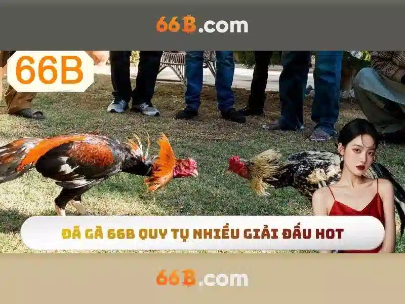 66b: Một chuẩn công nghệ cho tương lai số