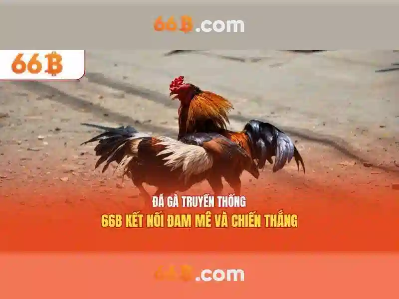 66b: Ý nghĩa và ứng dụng ở nhiều ngữ cảnh