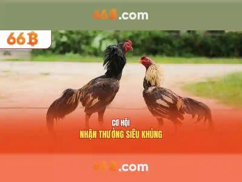 66b: khái niệm và ứng dụng trong thế giới số