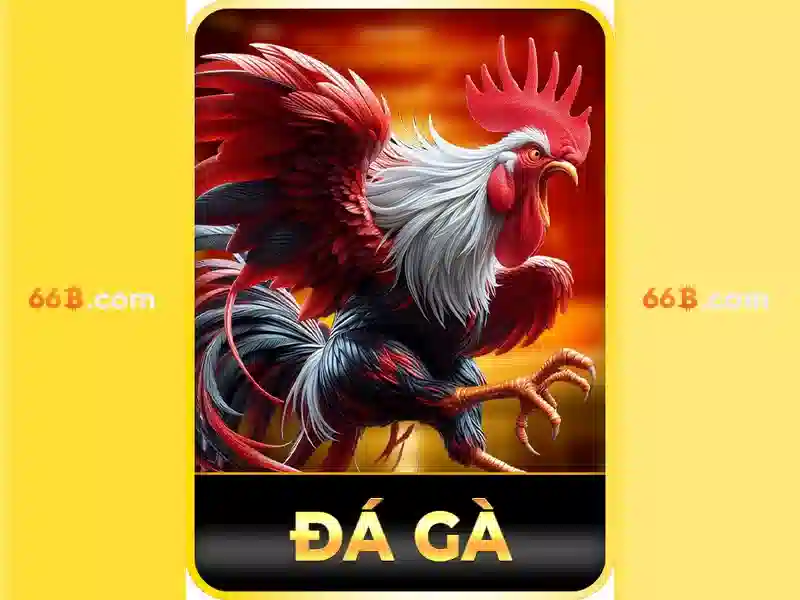 Không gian tương tác của 66b tại Triều Khúc