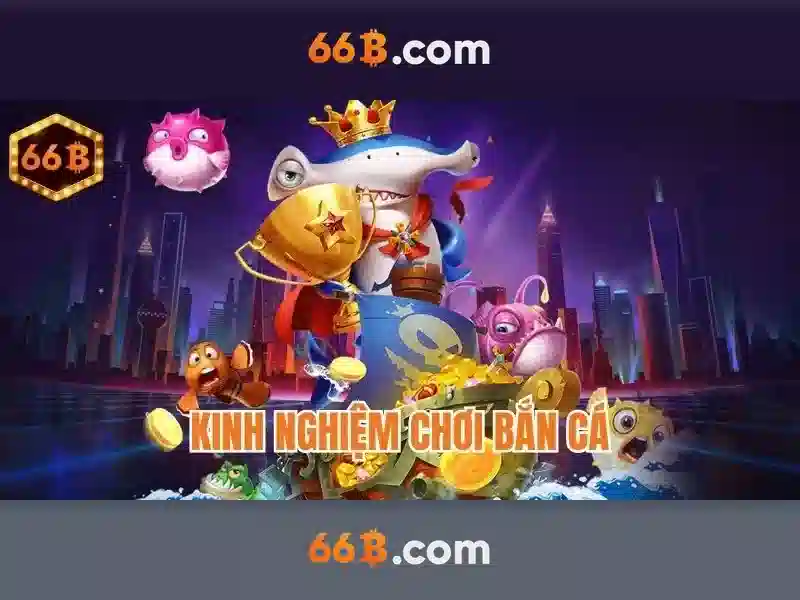 Ứng dụng và triển khai thực tế