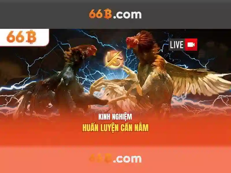66B: mô hình ngôn ngữ với 66 tỷ tham số và tiềm năng của nó