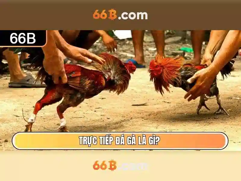 Nguồn gốc và ý nghĩa của 66b