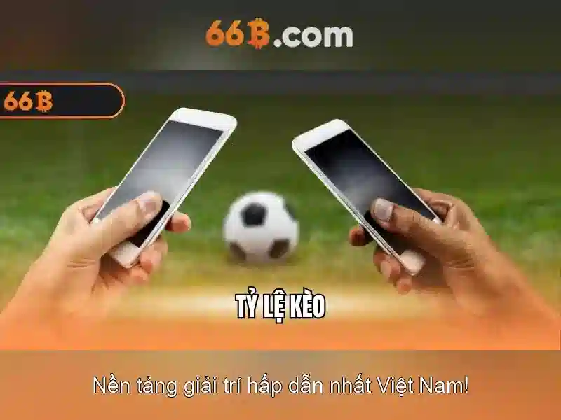 Kiến trúc và khả năng