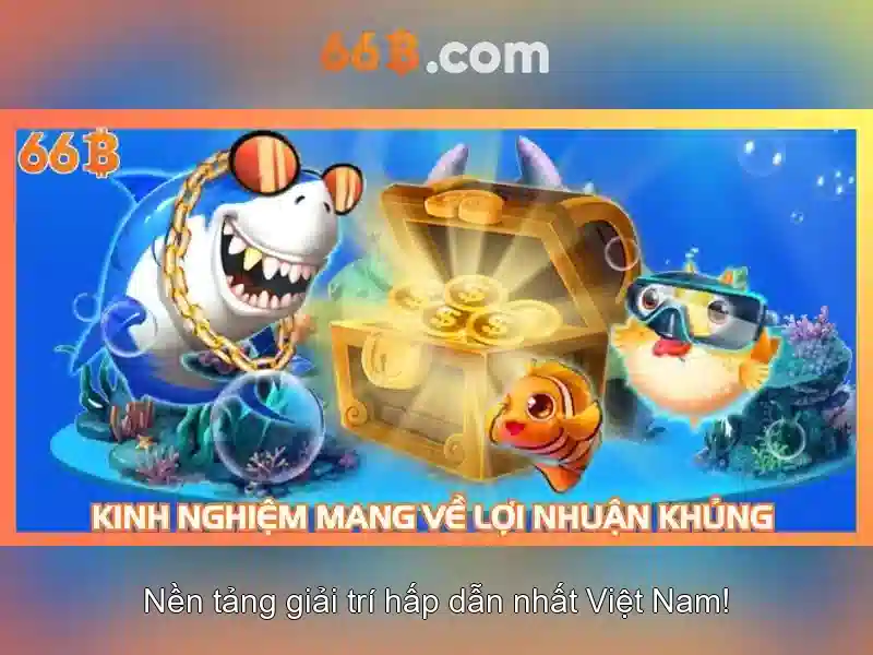 66b trong thiết kế và dữ liệu