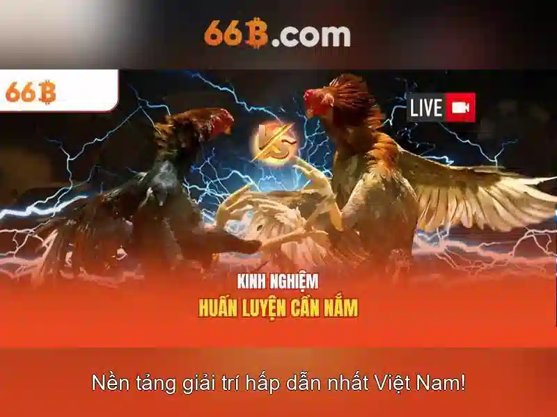 66B là gì và tại sao nó nổi bật trong giới trí tuệ nhân tạo