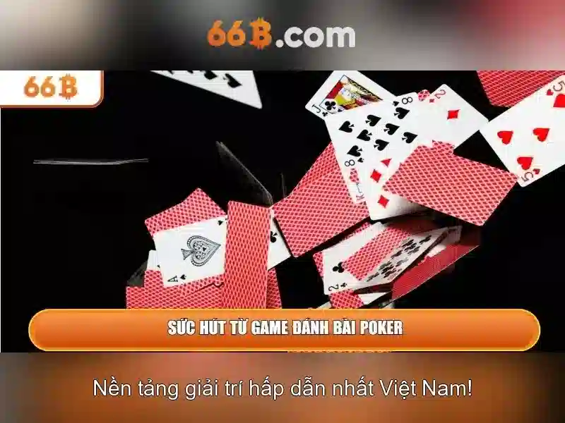 66B là gì?