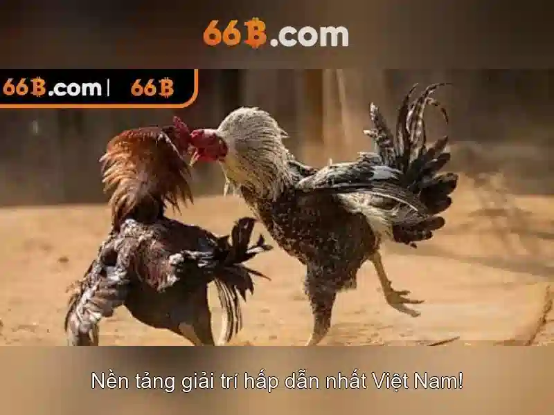 66B: Hiểu về mô hình ngôn ngữ 66 tỷ tham số