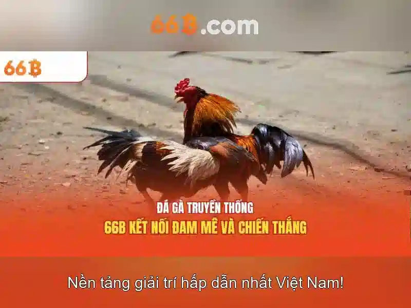 Kiến trúc và hiệu suất