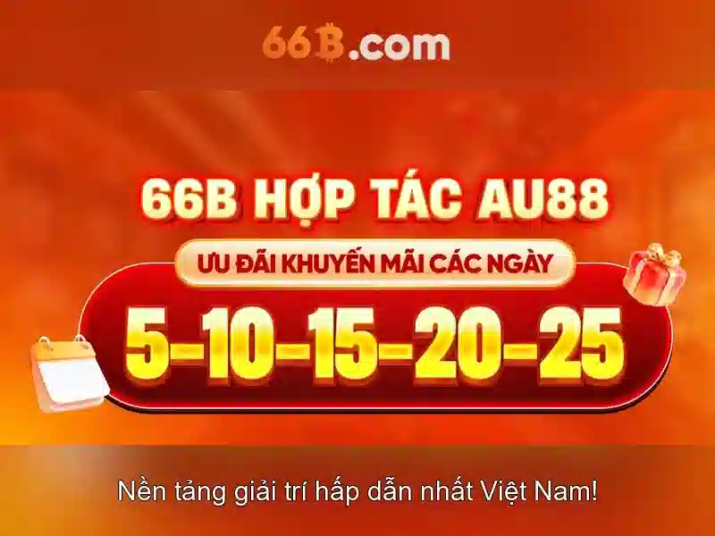 66b là gì?