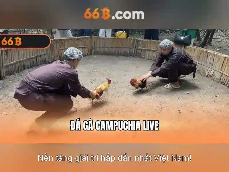Độ an toàn và chất lượng\n<p><span style=
