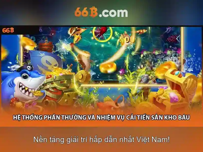 66B là gì?