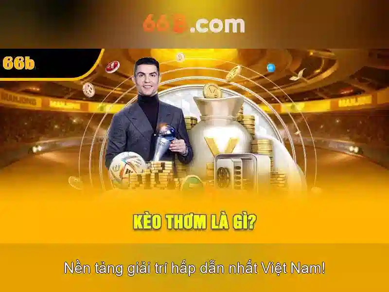 66b là gì và ứng dụng của nó trong công nghệ hiện đại