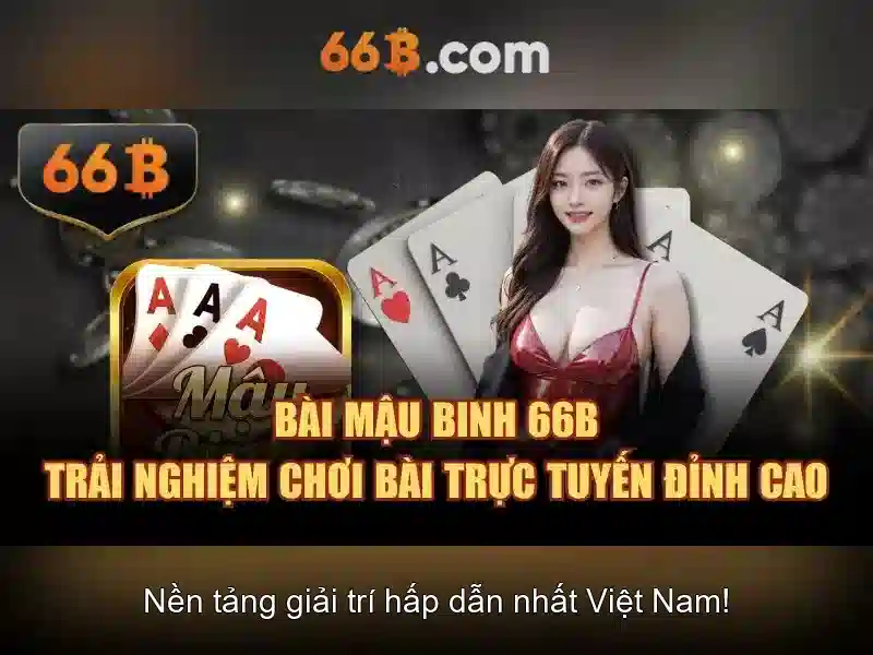 66B: Hiểu biết về kích thước và ứng dụng