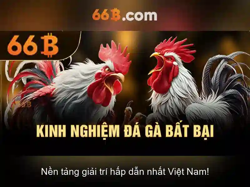 66B là gì?