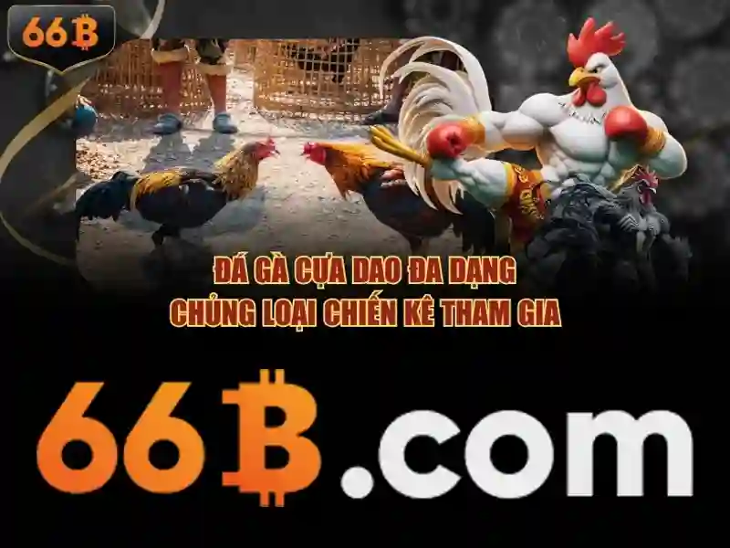 66b game – Khám phá trải nghiệm và đánh giá chân thực
