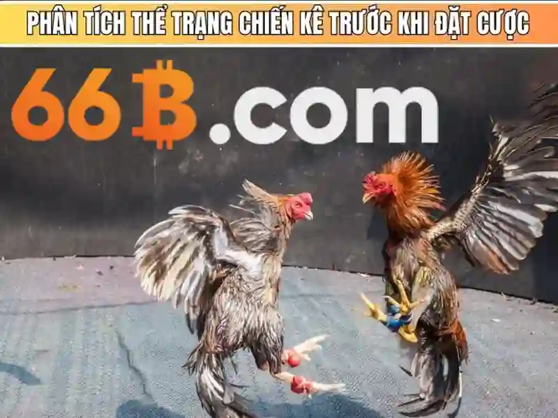 66b nguyễn sỹ sách p12 tân bình – Nguồn gốc và sứ mệnh