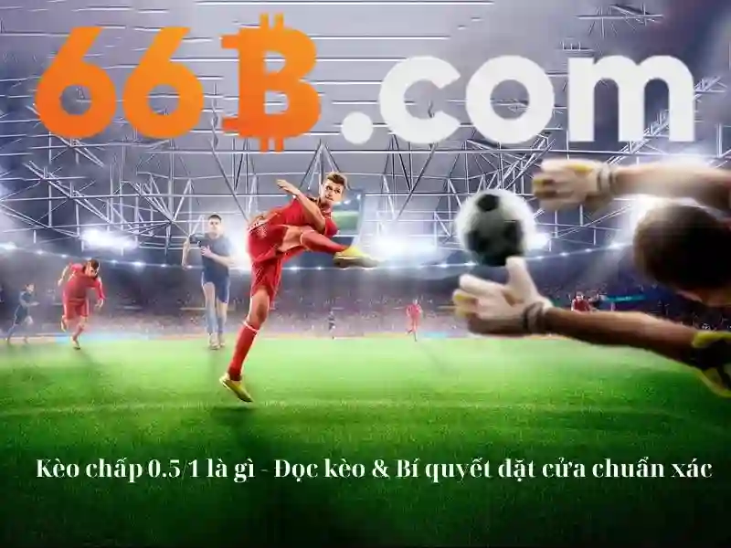 Mô hình 66B: Hiểu biết và ứng dụng